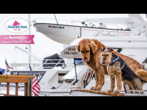 Reisetipp: Urlaub auf dem Hausboot mit Hund