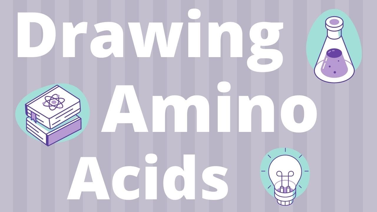 How to draw amino acids and peptide bonds to make a protein