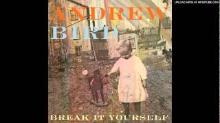 Andrew Bird - Desperation Breeds