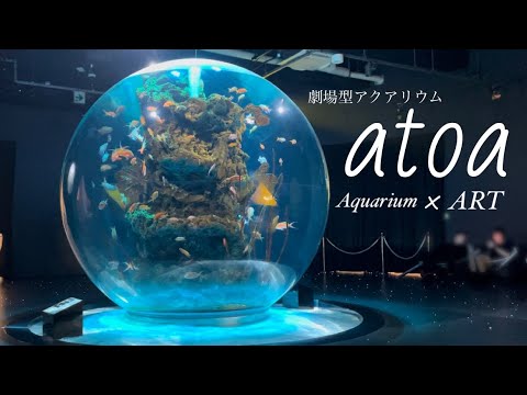 atoa kobe、最高でした。