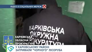 У Харківському районі затримали «чорного» лісоруба