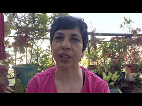 Pranayama techniques : Plavini