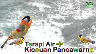 Download lagu Terapi Air Pancawarna mp3 Download lagu Terapi Air Pancawarna mp3