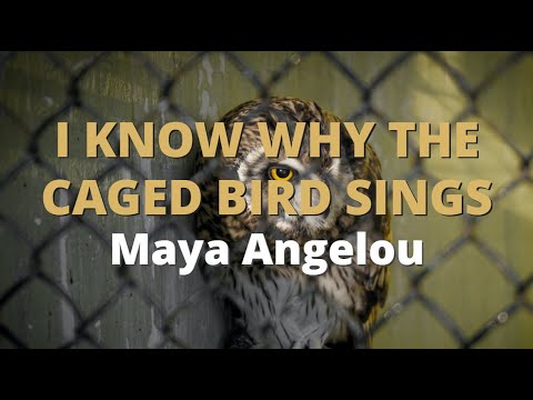 I Know Why The Caged Bird Sings ~ Maya Angelou | Best Motivational Poem