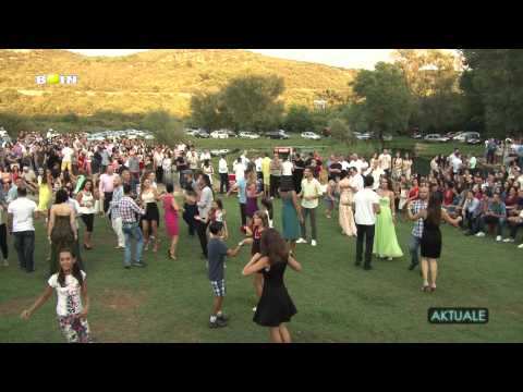 Aktuale - Logu i Vitojës 2015