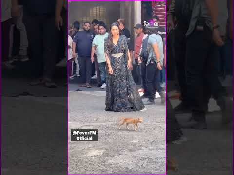 Karisma Kapoor’s love for cats shines through in this sweet moment! 🐾