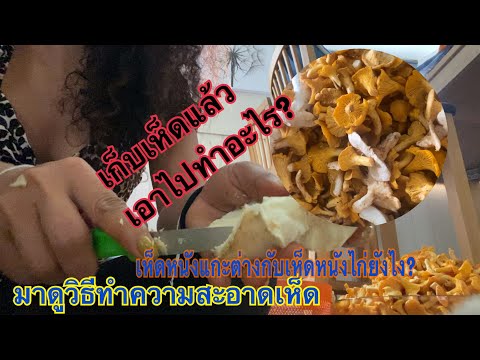 ขั้นตอน