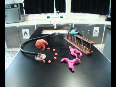 Countdown for Ying Wa Girls' School 110 Anniversary