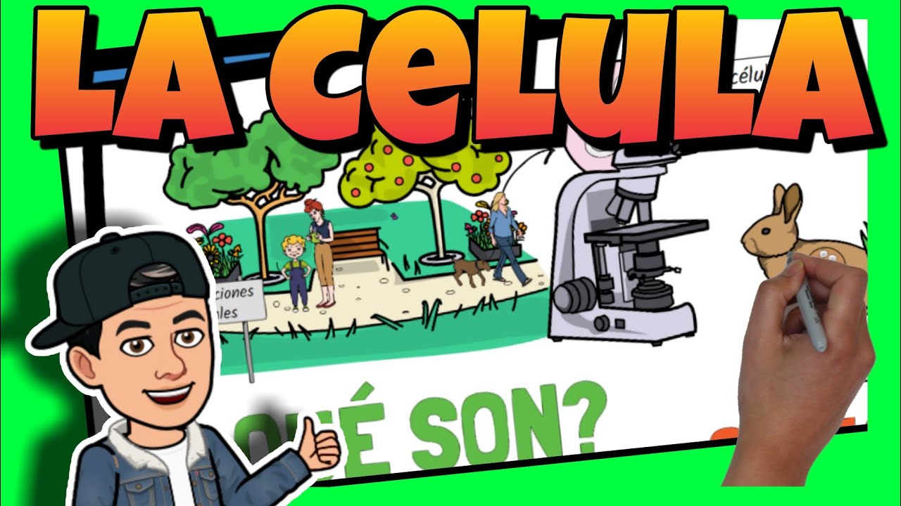🔴 La CÉLULA para NIÑOS | Definición, estructura, funciones y partes