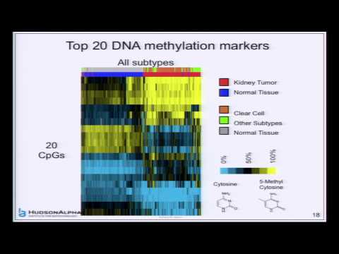 Examples of How ENCODE Facilitates Biomedical Research - Richard Myers