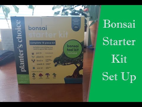 Bonsai Starter Kit - Planter's Choice - Unboxing and Plant with me