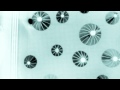 luke temple - those kids