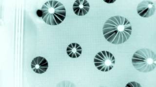 luke temple - those kids