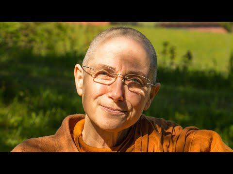 MN121: Emptiness - Culasunnata Sutta (1/2) I Ayyā Phalanyani