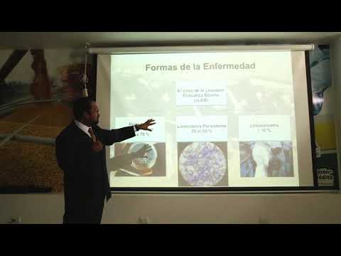 , title : 'Impacto de la leucosis enzoótica bovina en la lechería moderna - MVZ Jesús Zavaleta Hernández'