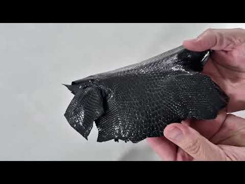 REAL IGUANA SKIN 5850