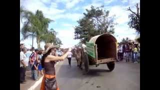 preview picture of video 'Desfile de Carros de Boi de Santo Antônio do Descoberto – GO – desfile de 2014'