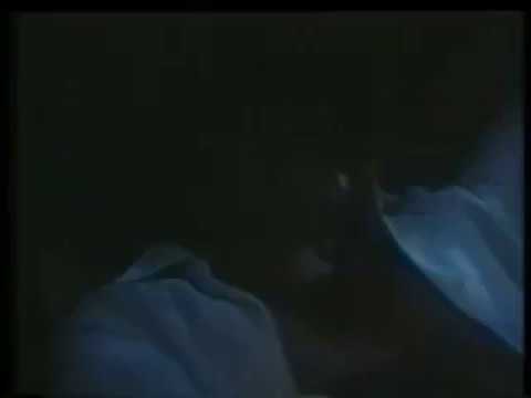 Wilde Havana: A Little Too Wild Amigo? - Netherlands, Cordon Grey Advertising, 1979.