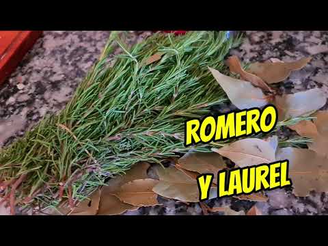 CORDERO A LA CERVEZA NEGRA EN HORNO DE LEÑA (TIPO CHILENO)