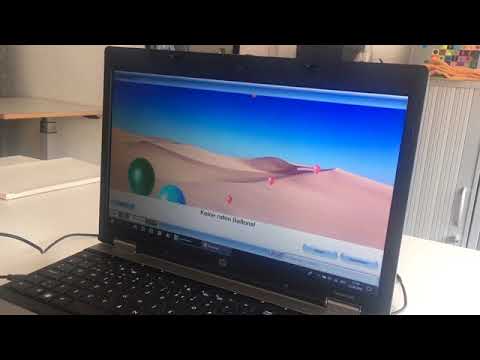 Reaktionstraining mit freshminder 2, Ballonjagt 25.6.18: