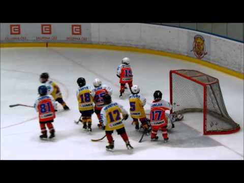 HC Českobudějovičti lvi - Motor ČB 7:3, Jiří Novotný Cup 2016