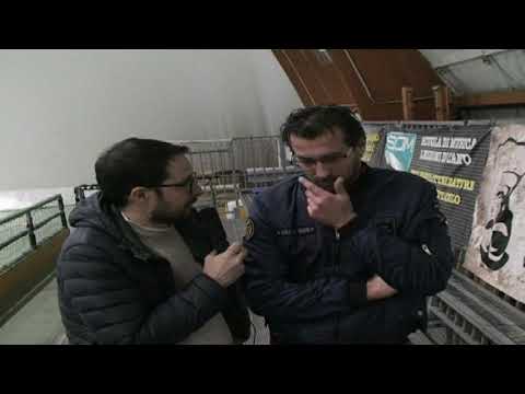 INTERVISTE POST GARA FUTSAL BAGNOLO VS ARPINOVA
