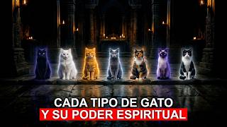 Cada Tipo de GATO y su Poder Espiritual Explicado