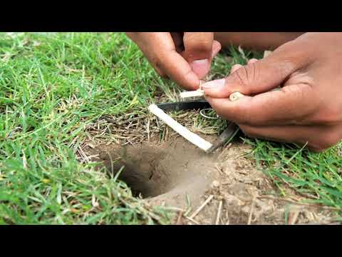 Easy Snake Trap - Best Creative DIY Snake Trap Using Pliers That Works 100%