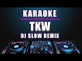Karaoke TKW (Tenaga Kerja Wanita) Versi Dj remix