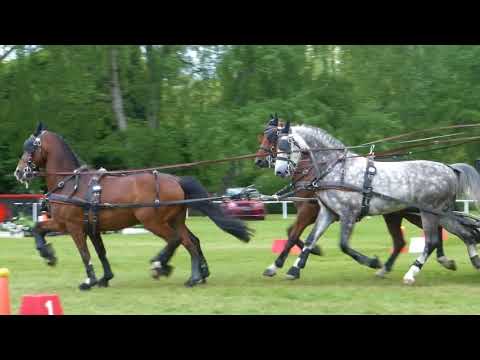 WEUSTHOF Mark, NED, CAIO4* H4, Windsor GB, Cones 13 05 2018