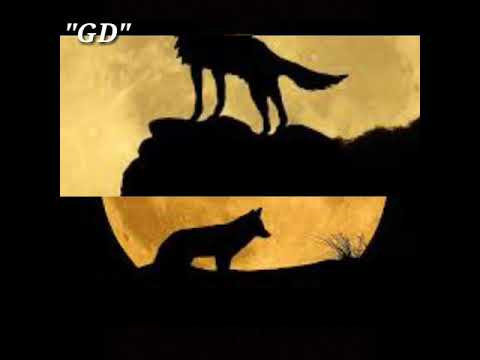 Aidita Yugsi ( letra ) - Necio Corazón