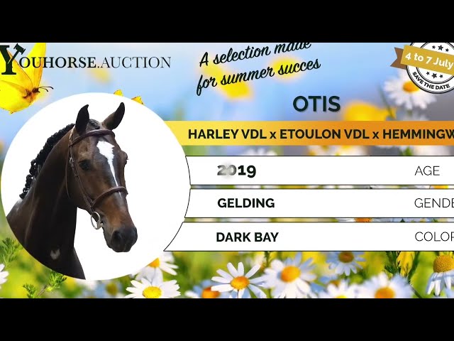 Otis showvideo