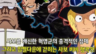 [원피스 분석]사보를 배신한 혁명군의 충격적인 정체 그리고 임펠다운에 갇히는 사보 비비 행콕