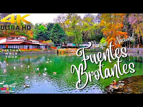 【4K】Parque FUENTES BROTANTES de Tlalpan Lugar SECRETO de la CDMX - Walking Tour #tlalpan