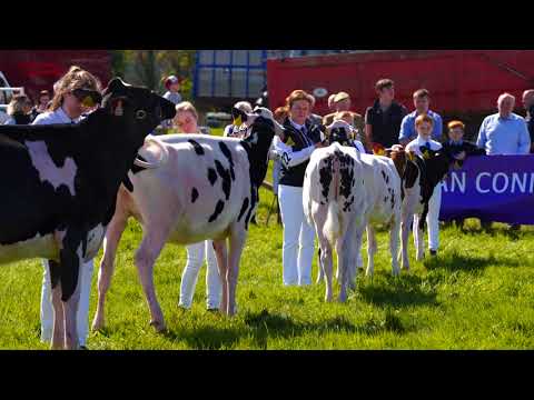 Ayr Show.Holstein Junior Championship.Vetech Beemer Laurie.Judge Glyn Lucas
