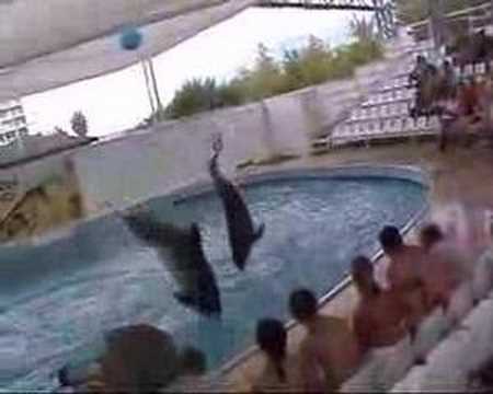 Lepenye - ANTALYA -Turkey - Hotel Royal Wings