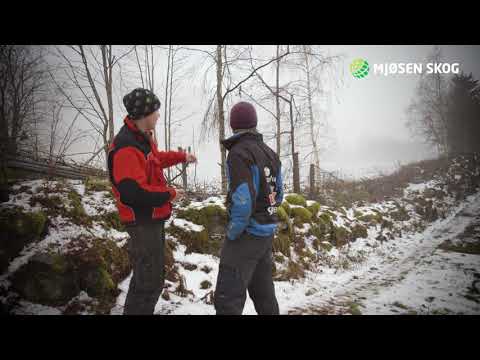 ALLMA - skogbruksplan på nett