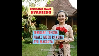 Download lagu ANAKE MBOK RANDHA @LaguJawaNyamleng @ParpalPoerwanto mp3
