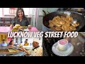 Best LUCKNOW Veg Street Food Part 2 Basket Chaat Veg Kebab Kachori Chole Kulfi Etc