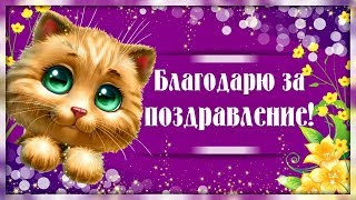 5 способов сделать светящийся велосипед - Lights 45 5 способов сделать светящийся велосипед - Lights 38