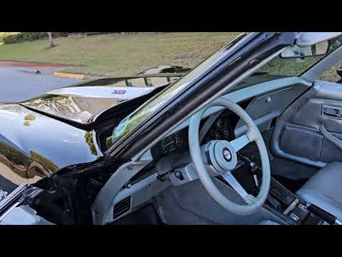 1978 Chevrolet Corvette (CC-2052907) for sale in Hudson, Florida