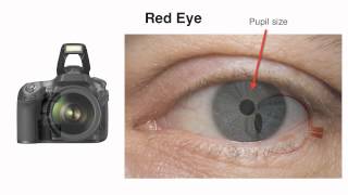 How to Reduce Red Eye in Photographs with John Greengo