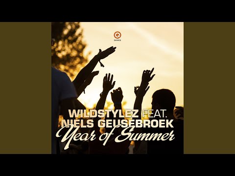 Year of Summer (feat. Niels Geusebroek) (DJ Mix)