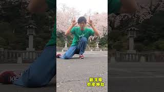 #sakura #japan #shorts #松阪牛 #新潟県 #桜 #三重県 #ギャグ #beef