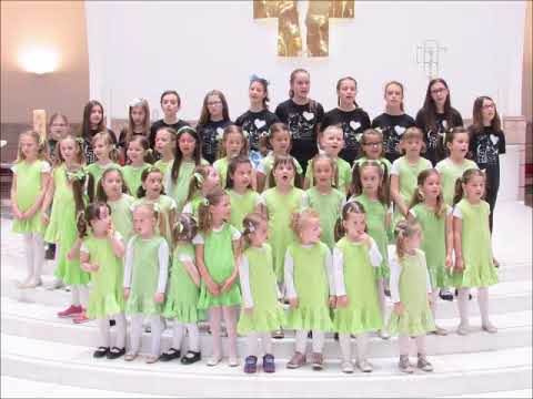 Lijepa naša domovino, Kikići, Genijalci i Medenjaci