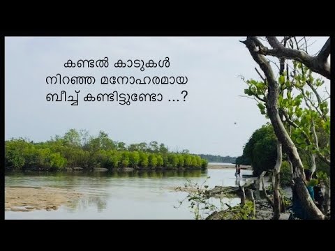 Kolavi beach | payyoli | beach in kozhikkode #touristplaceinkozhikkode