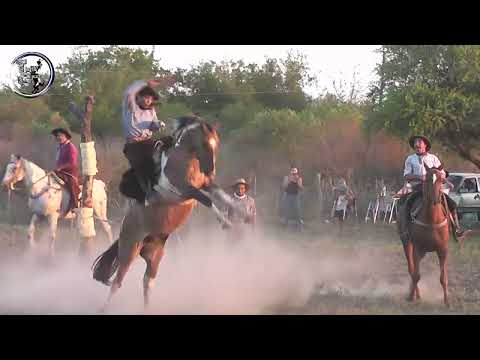 Broche de oro con Basto completo en Crucesitas 3ra Marzo 2023 Nogoyá (Entre Rios)