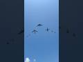 B 2 B 1 B 52 And FOUR Escort Flyover Aviation Military Airshow