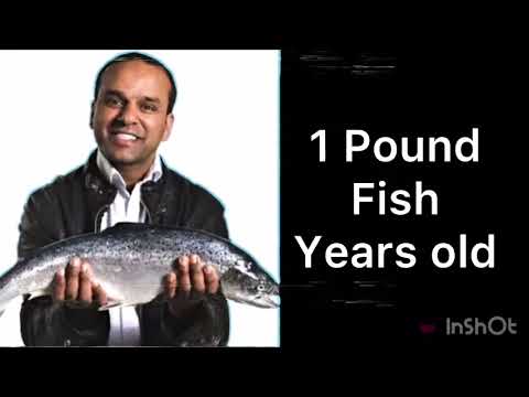 Mr incredible becoming old 22 Hours (100X)