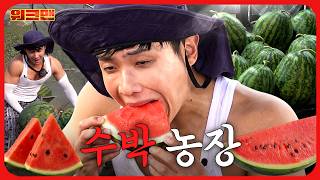 [워크맨] 수박 나르기